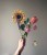 95F40F52-A9A9-49A6-865C-47582D0FECED.jpeg