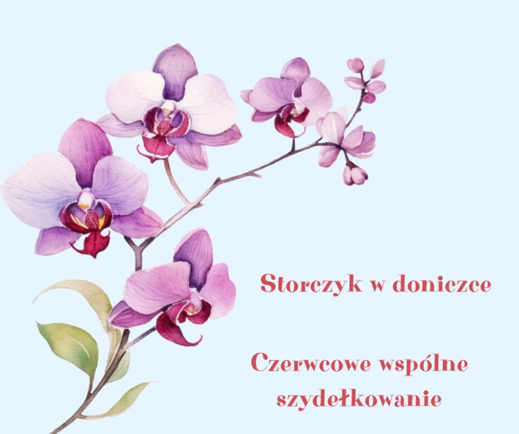 Kopia – Nowy wzór (Post na Facebooka).png
